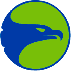 Atlanta Hawks Primary Logo 1971 - 1972