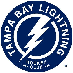 Tampa Bay Lightning Alternate Logo 2012 - Present