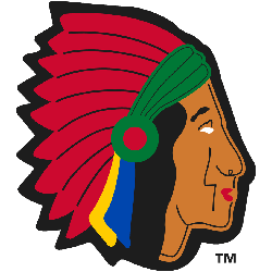 Boston Braves Primary Logo 1929 - 1935