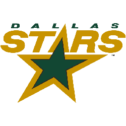 Dallas Stars Primary Logo 1995 - 2013