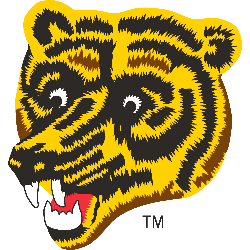 Boston Bruins Alternate Logo 1977 - 1995