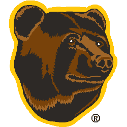 Boston Bruins Alternate Logo 1996 - 2007