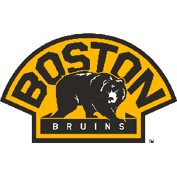 Boston Bruins Alternate Logo 2008 - Present