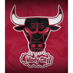 Chicago Bulls Alternate Logo 1970 - 1979