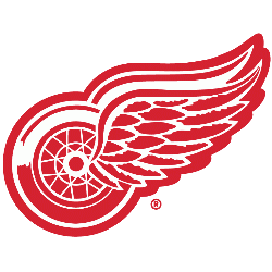 Detroit Red Wings Alternate Logo 1984 - Present