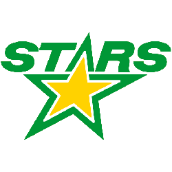 Minnesota North Stars Alternate Logo 1991