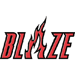 Portland Trailblazers Alternate Logo 2003 - 2017