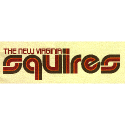 Virginia Squires Wordmark Logo 1975 - 1976