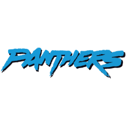 Carolina Panthers Wordmark Logo 1995 - 2011