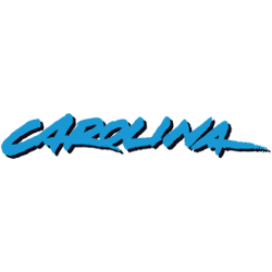 Carolina Panthers Wordmark Logo 1995 - 2011