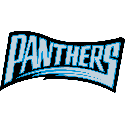 Carolina Panthers Wordmark Logo 1995