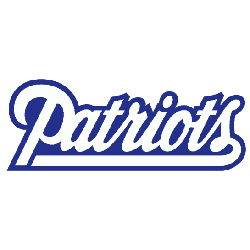 New England Patriots Wordmark Logo 1993 - 1999