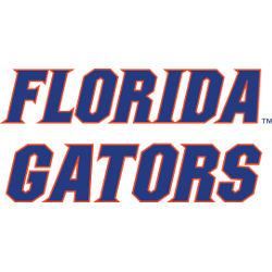 Florida Gators Wordmark Logo 2013 - Present