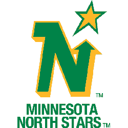 Minnesota North Stars Wordmark Logo 1975 - 1981