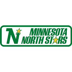 Minnesota North Stars Wordmark Logo 1980 - 1990