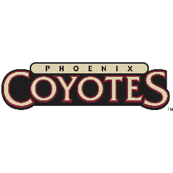 Phoenix Coyotes Wordmark Logo 2004 - 2008