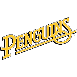 Pittsburgh Penguins Wordmark Logo 1989 - 1992