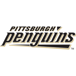 Pittsburgh Penguins Wordmark Logo 2003 - 2008