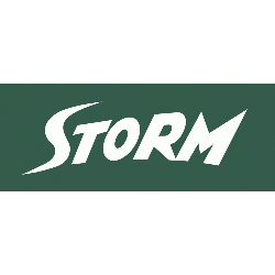 Seattle Storm Wordmark Logo 2000 - 2015