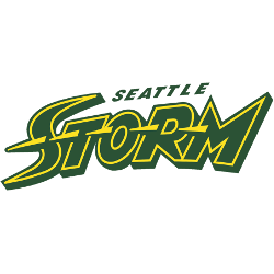 Seattle Storm Wordmark Logo 2016 - Present