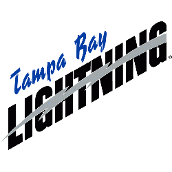 Tampa Bay Lightning Wordmark Logo 1993 - 2001