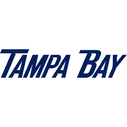 Tampa Bay Lightning Wordmark Logo 2008 - 2010