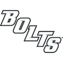 Tampa Bay Lightning Wordmark Logo 2009 - Present