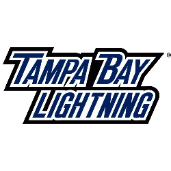 Tampa Bay Lightning Wordmark Logo 2011