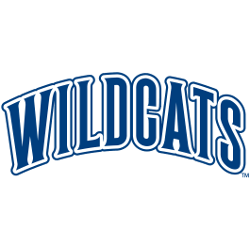 Villanova Wildcats Wordmark Logo 1994- 2002