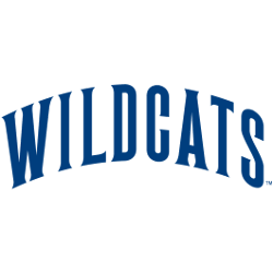 Villanova Wildcats Wordmark Logo 2002 - Present