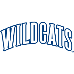 Villanova Wildcats Wordmark Logo 1994- 2002