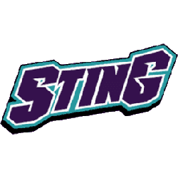 Charlotte Sting Wordmark Logo 1997 - 2003