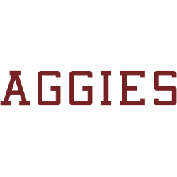 Texas A&M Aggies Wordmark Logo 2001 - Present