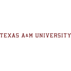 Texas A&M Aggies Wordmark Logo 2001 - Present