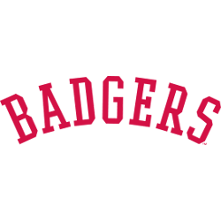 Wisconsin Badgers Wordmark Logo 1970 - 1990