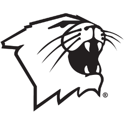 Northwestern Wildcats Partial Logo 1981 - Present