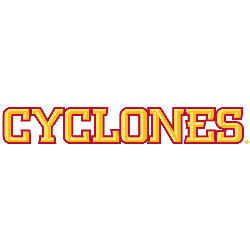 Iowa State Cyclones Wordmark Logo 2007 - Present