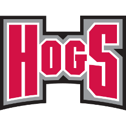 Arkansas Razorbacks Wordmark Logo 2001 - 2008