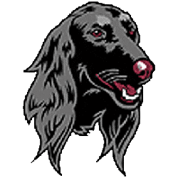 Southern Illinois Salukis Alternate Logo 2001 - 2018