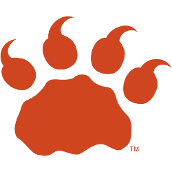 BC Lions Alternate Logo 2011 - 2015