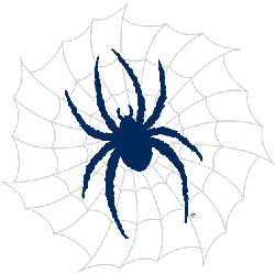 Richmond Spiders Alternate Logo 2002 - 2017