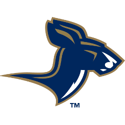 Akron Zips Alternate Logo 2002 - 2007