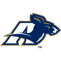 Akron Zips Alternate Logo 2002 - 2008