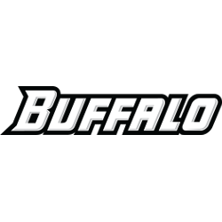 Buffalo Bulls Wordmark Logo 2007 - Present