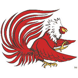 Jacksonville State Gamecocks Primary Logo 1976 - 2002