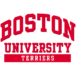 Boston Terriers Wordmark Logo 2005 - 2015