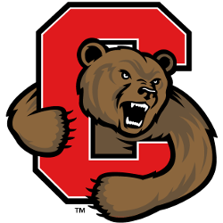 Cornell Big Red Alternate Logo 1998 - 2001