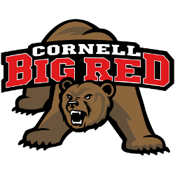 Cornell Big Red Alternate Logo 2002 - Present