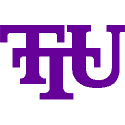 Tennessee Tech Golden Eagles Primary Logo 1997 - 2005