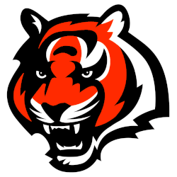 Cincinnati Bengals Primary Logo 1997 - 2003